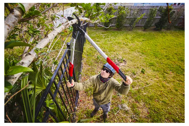 4932498625_Takkenschaar 50cm_Tuin.webp