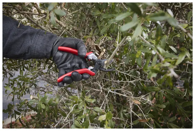 4932498622 - Snoeischaar 20mm_Knippen_2.webp