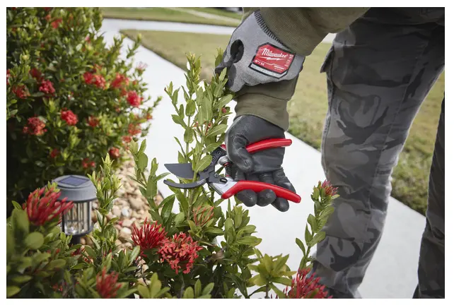 4932498622 - Snoeischaar 20mm_Knippen.webp