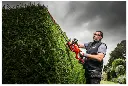4933498384 - M18 FHET60G2-0 M18 Fuel Heggenschaar 60cm - in actie.webp