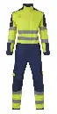 Johnson Multinorm Overall