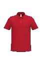 IB295 - Polo piqué coton homme